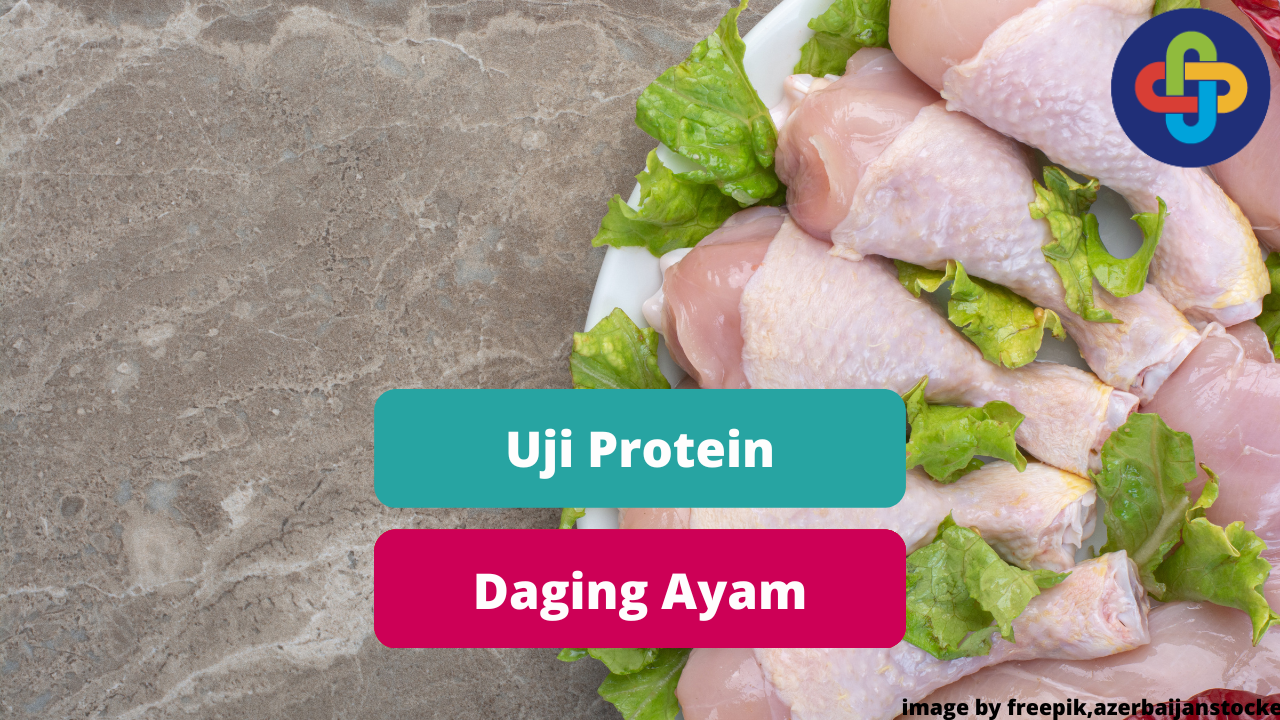 Penelitian Tentang Uji Protein Daging Ayam 